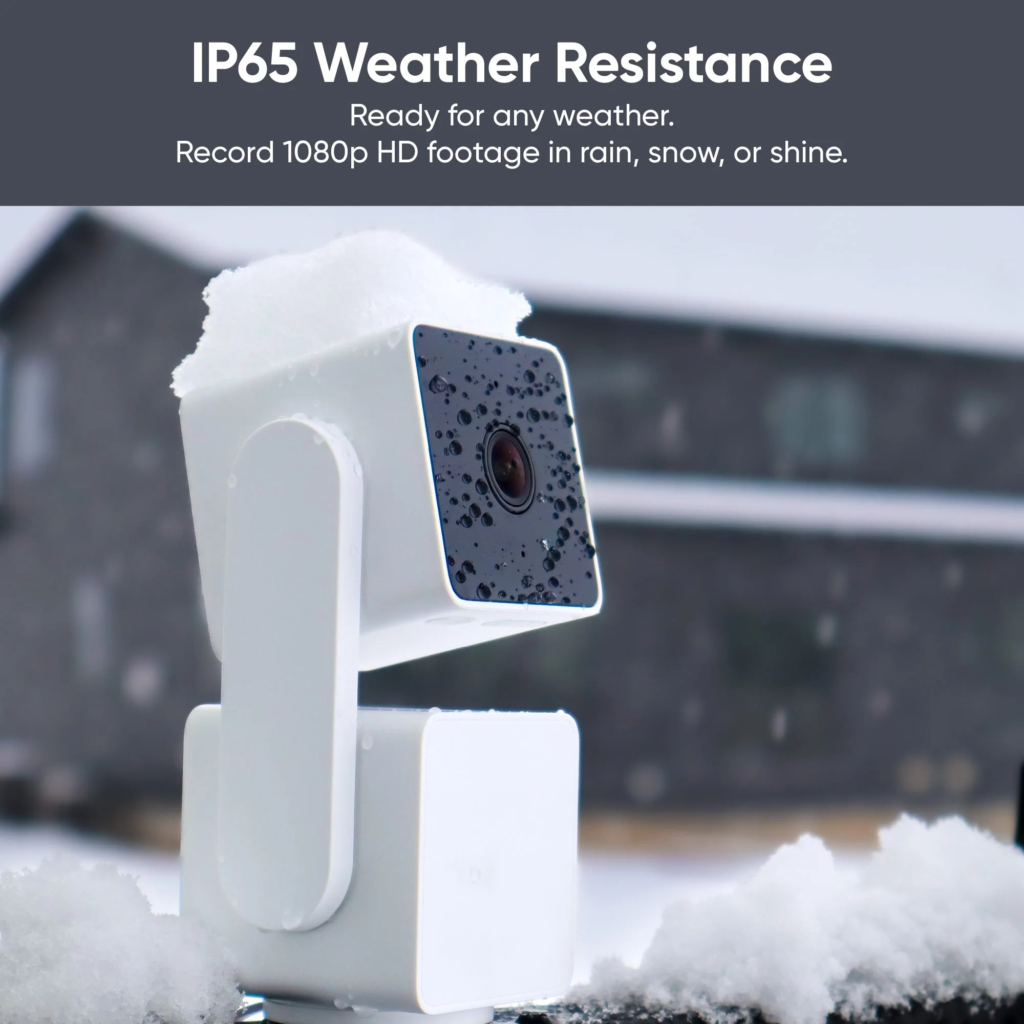 Outdoor Security Basic - View 2