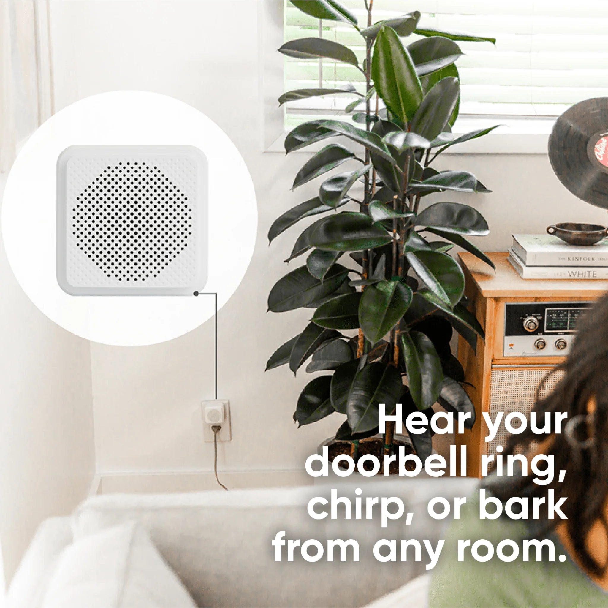 Wyze Video Doorbell (Wired) - View 5